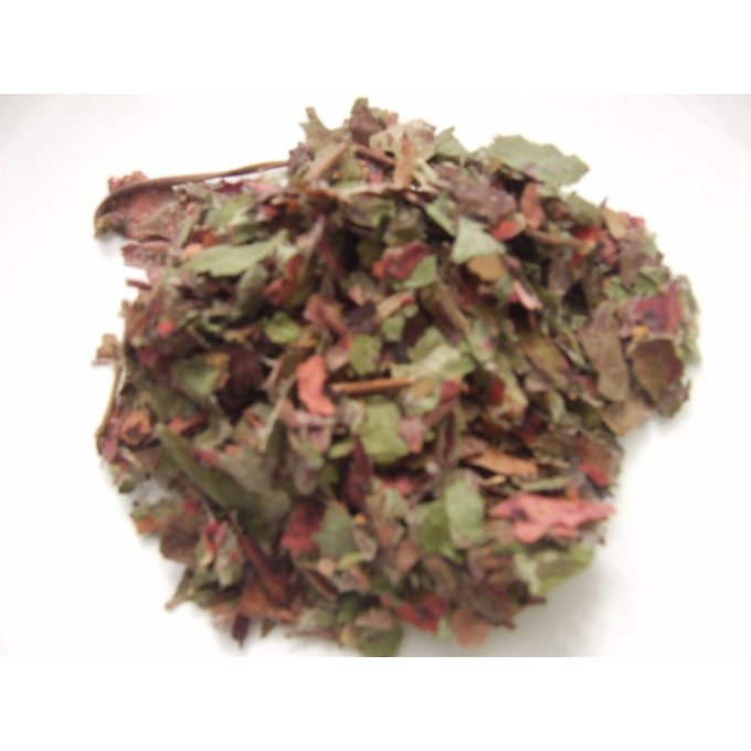 Vigne rouge biologique