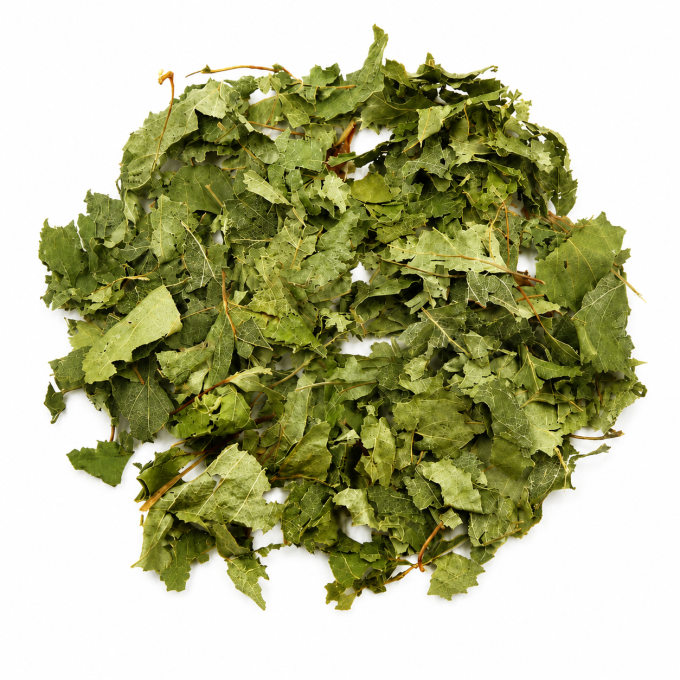 Feuilles de Bouleau Bio – Betula pendula | Infusion Bio