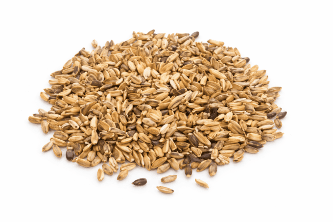 Chardon marie biologique