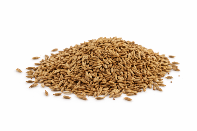 Cumin bio graines – épice aromatique
