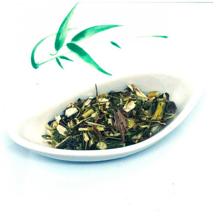 Echinacée biologique plante coupée