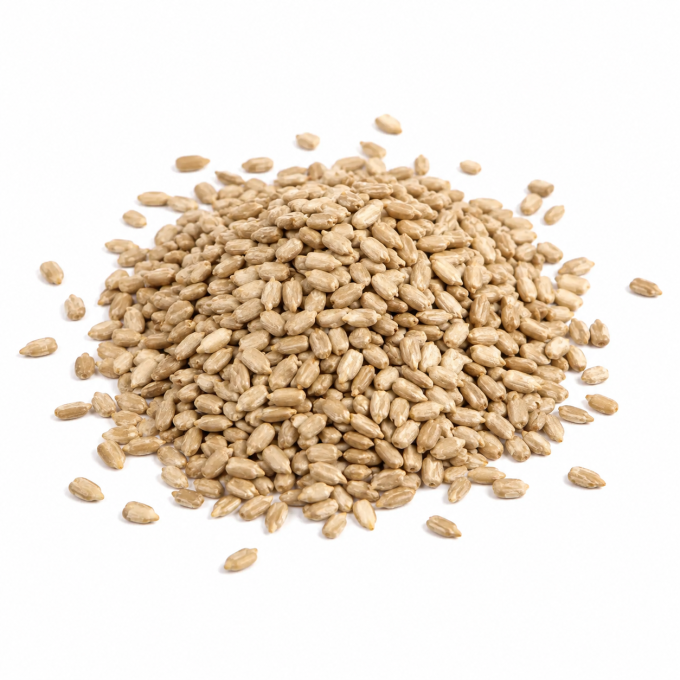 Graines de tournesol bio naturelles
