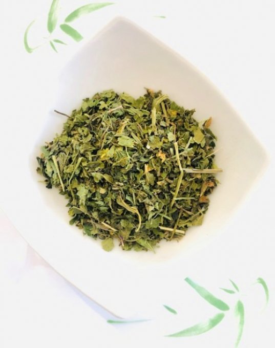 Ortie piquante biologique 