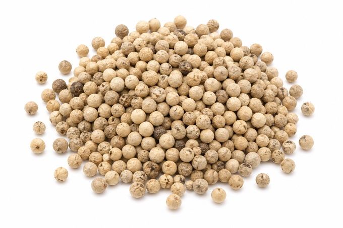 Poivre blanc de Malabar – Poivre en grains fin et délicat