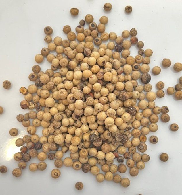 Poivre Sarawak blanc