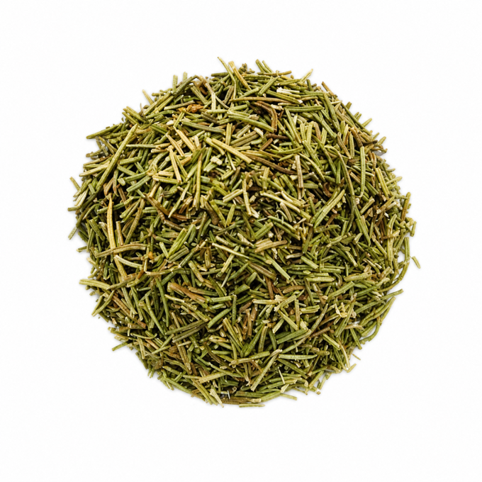 Romarin bio français – herbe aromatique pour cuisine et infusion