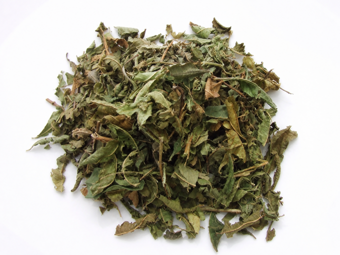 Verveine bio française – infusion détente