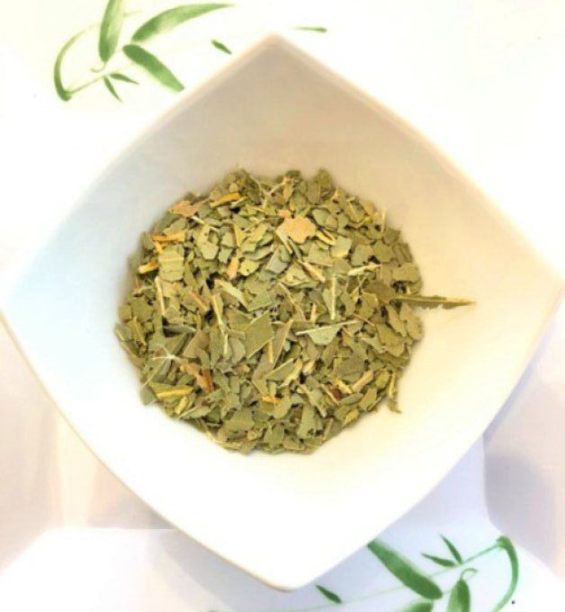 Eucalyptus biologique feuilles coupées 